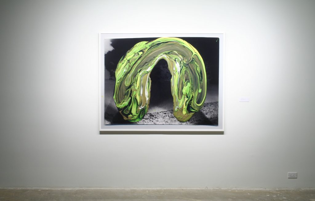 Andrea Pinheiro, Chamber 4 – Trellis,  2011, Light jet print