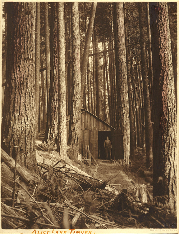 Ben W. Leeson, “Alice Lake Timber,” c.1890, hand-tinted gelatin silver print (1079)