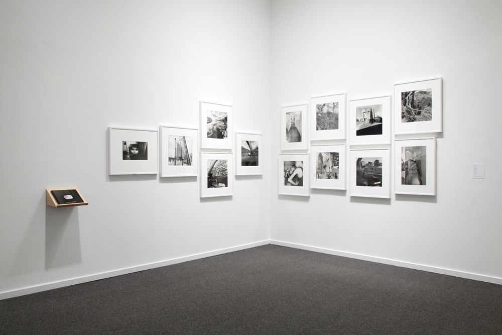 Lee Friedlander: Thick of Things