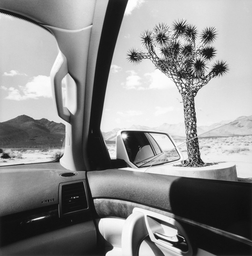 Lee Friedlander, California, 2008, gelatin silver print, courtesy the Artworkers Retirement Society