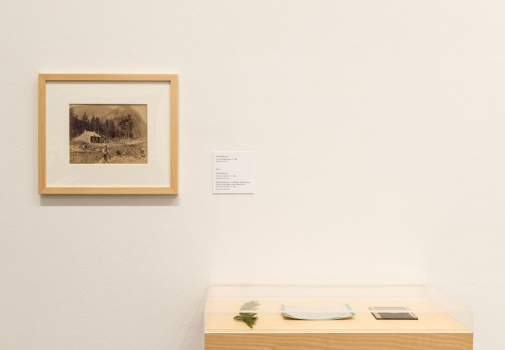 Installation image, 'NANITCH: Early Photographs of British Columbia from the Langmann Collection', courtesy of SITE Photography
