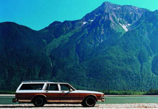Kevin Schmidt, 1984 Chevrolet Caprice Classic Wagon, 94000 kms, Good Condition, Engine Needs Minor Work, 2000, C-Print, detail 1 of 5 panels