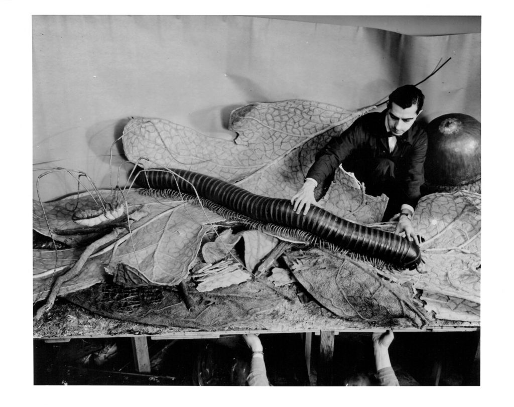 Ray de Lucia installing models for the Forest Floor diorama in the Hall of Forests at the American Museum of Natural History new York, 1958. Photograph by museum staff photographer Alex J. Rota. From the exhibition Camera Obscured: Photographic Documentation and the Public Museum. Photograph courtesy The American Museum of Natural History, New York