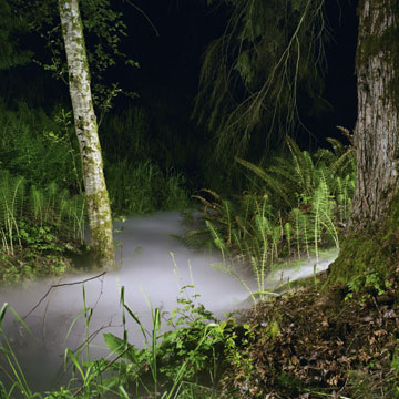 Kevin Schmidt, Detail from Fog, 2004, video