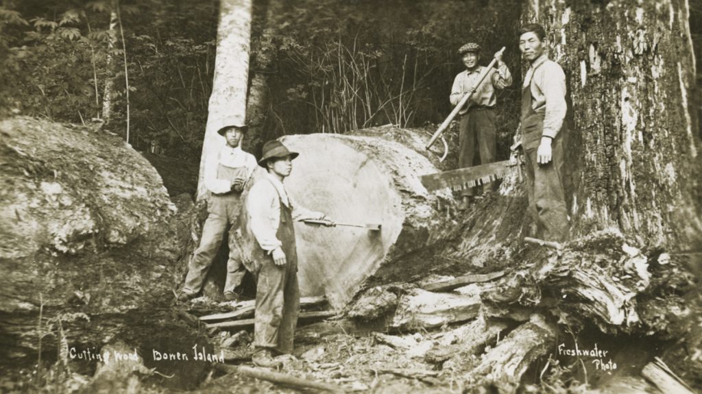Freshwater Photo, “Cutting Wood, Bowen Island,” c. 1900, postcard (1040)