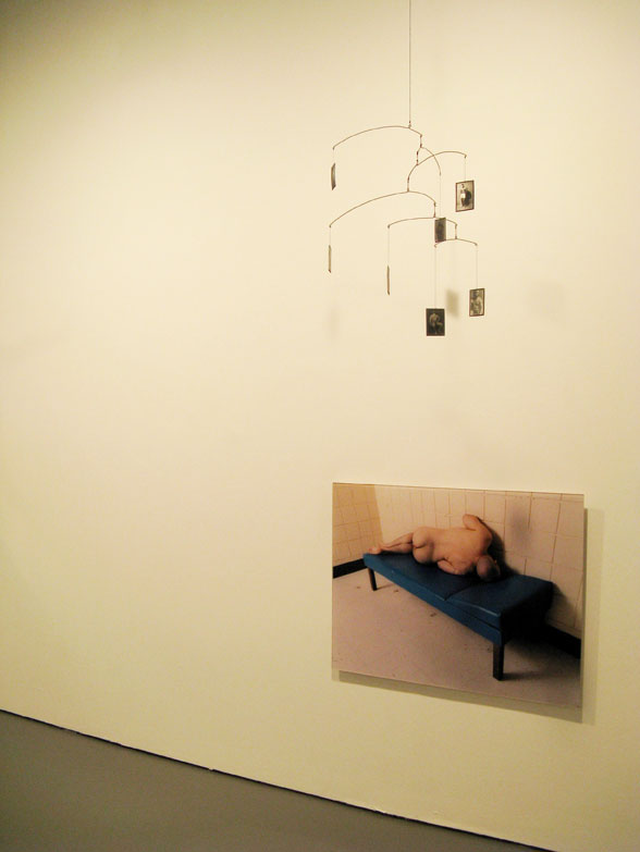 Installation view: Male: Work from the Collection of Vince Aletti