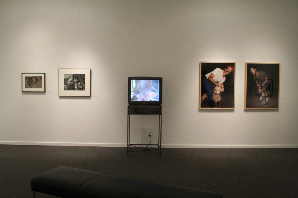 To The Dogs, installation view