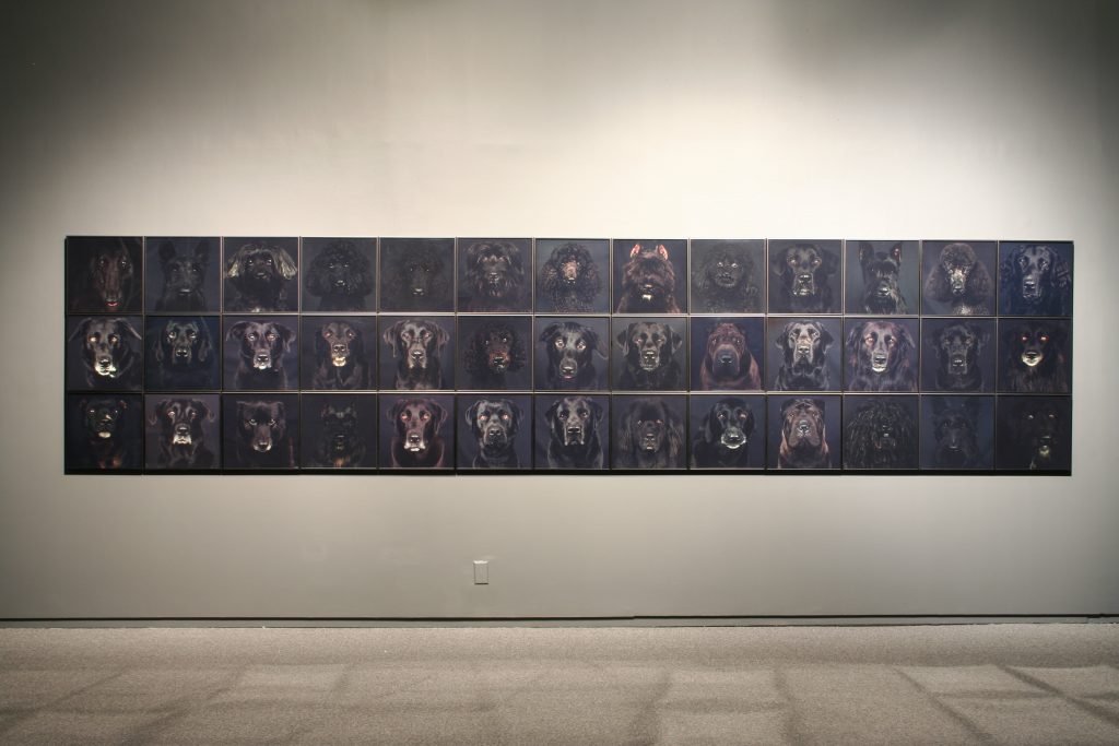 To The Dogs, installtion view (Sheri Hatt)