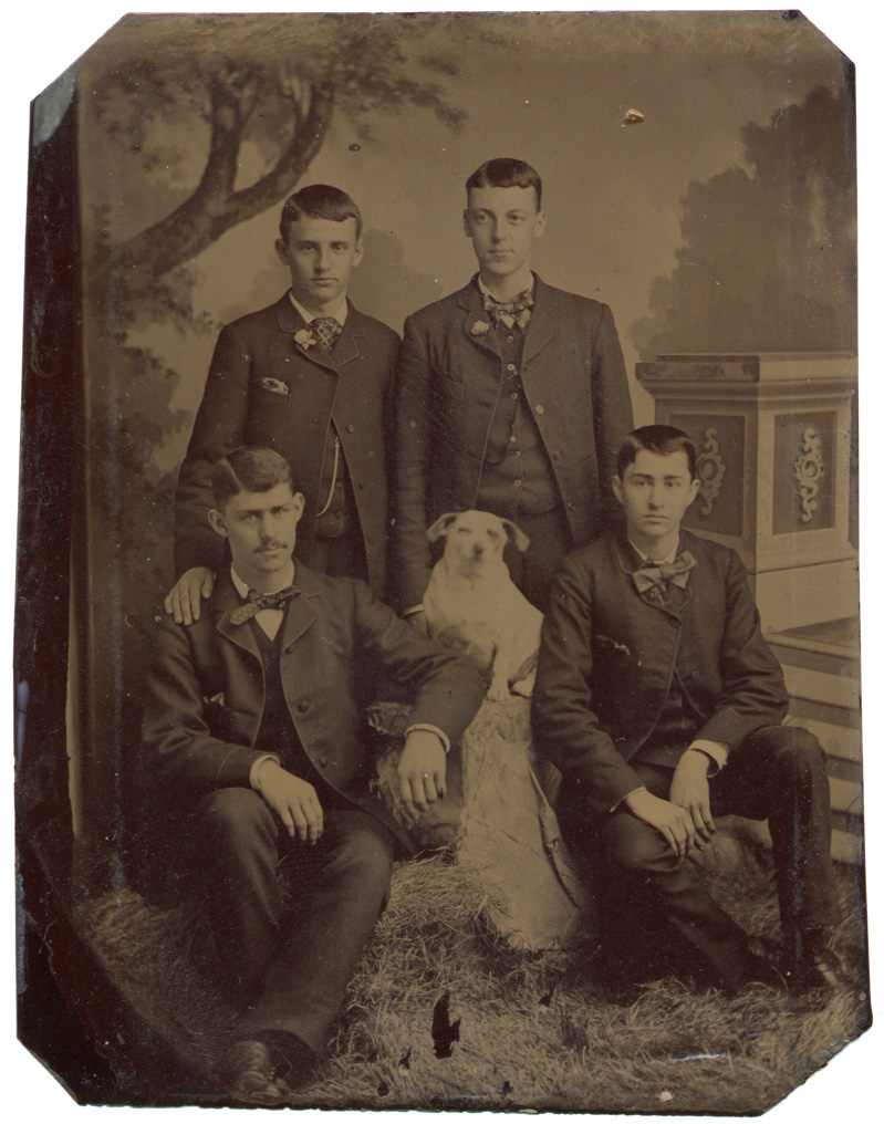 To The Dogs, tintype