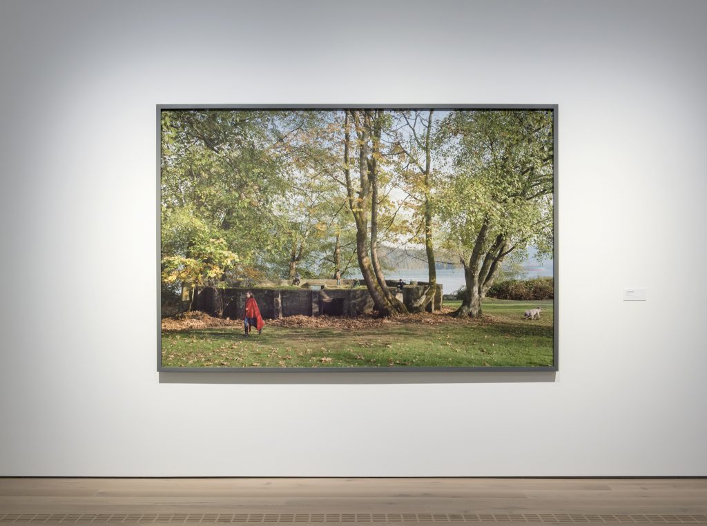 Installation view, Stephen Waddell, "Hive Burner", 2017, archival pigment print, 162.6 x 254 cm