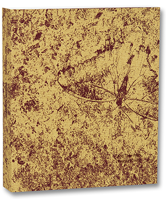 Vanessa Winship - And Time Folds