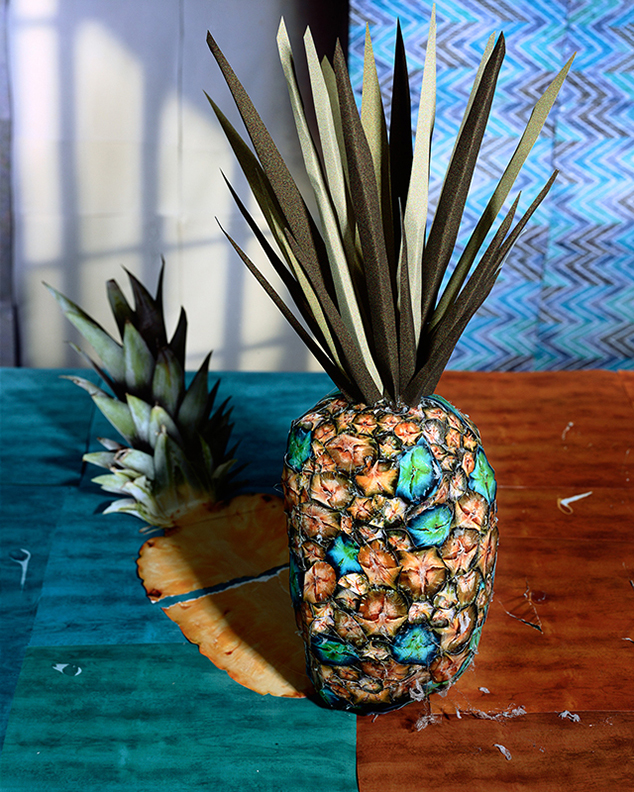 Daniel Gordon, Pineapple and Shadow, 2011. Courtesy the artist and James Fuentes Gallery, New York