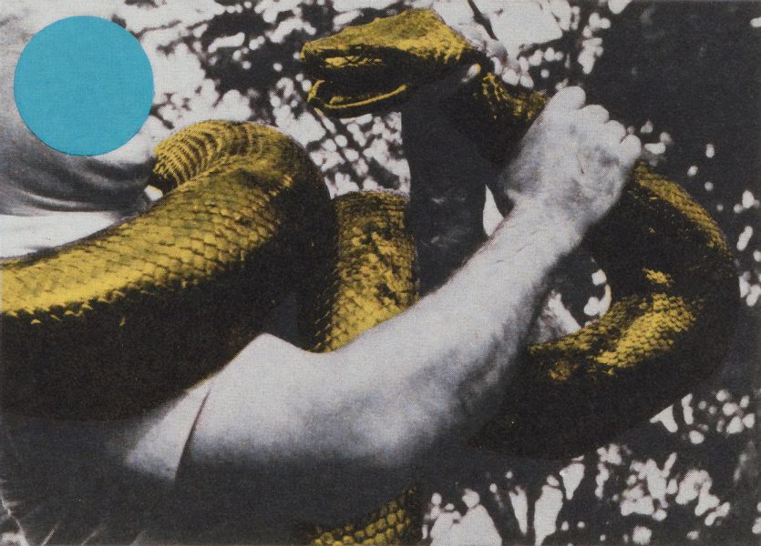 John Baldessari, Man With Snake, 1990, courtesy of private collection.