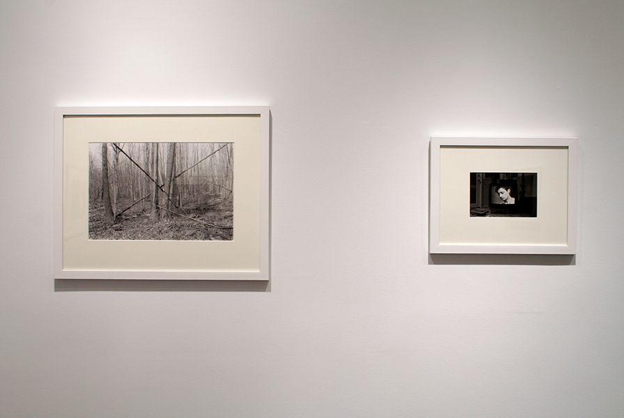 Judy Linn installation view 6