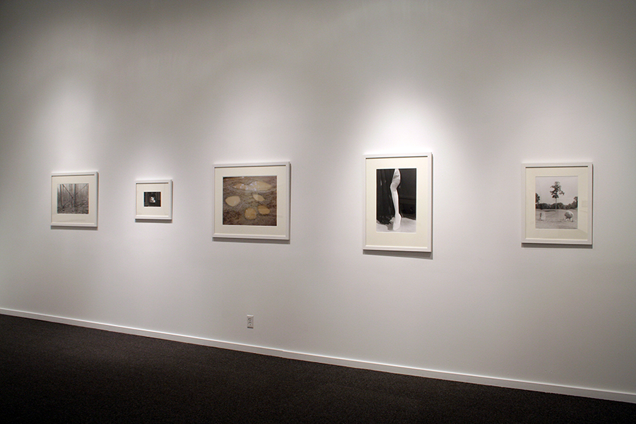 Judy Linn installation view 8