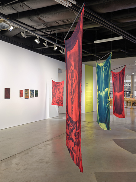 Mesh Installation View 5. Rachel Topham Photography