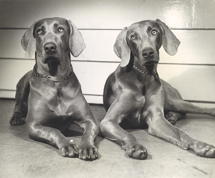 Anonymous press photo, ND. Silver gelatin print. Courtesy Winter Works on Paper, NY