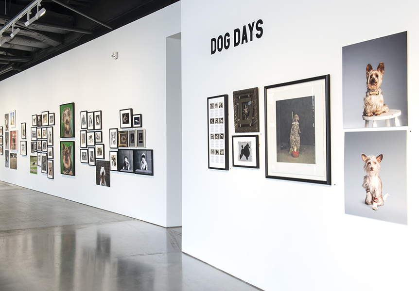 Installation view 2 - Dog Days