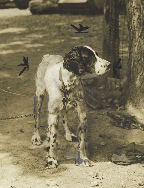 Anonymous press photo, ND. silver gelatin print. Courtesy Winter Works on  Paper, NY