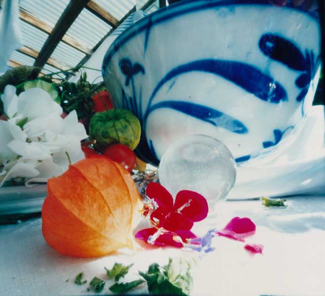 Diane Evans - Still Life