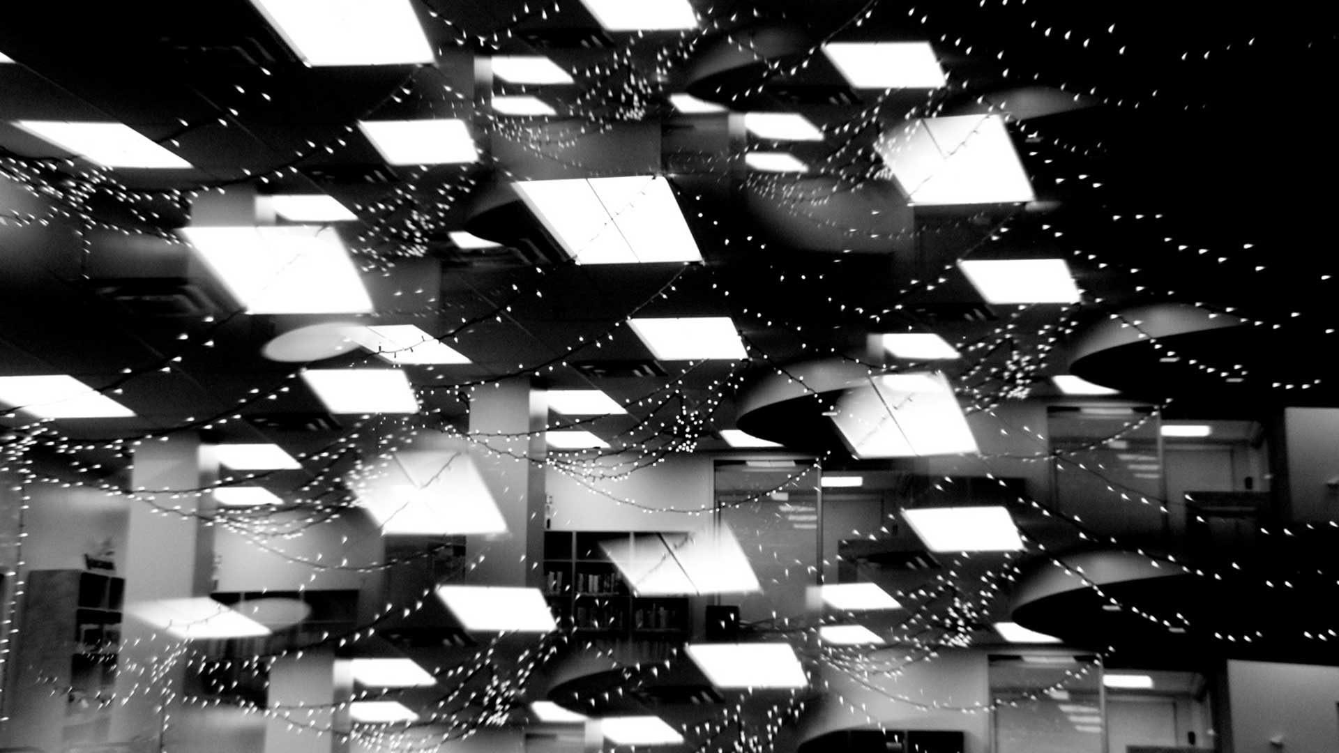 Chester Fields 2025: Shadow Play