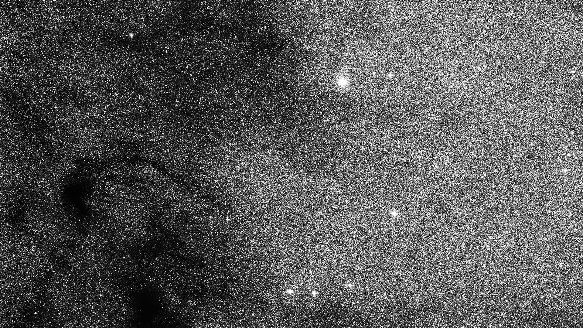 Star Witnesses