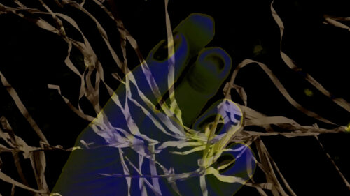 Unheld II
