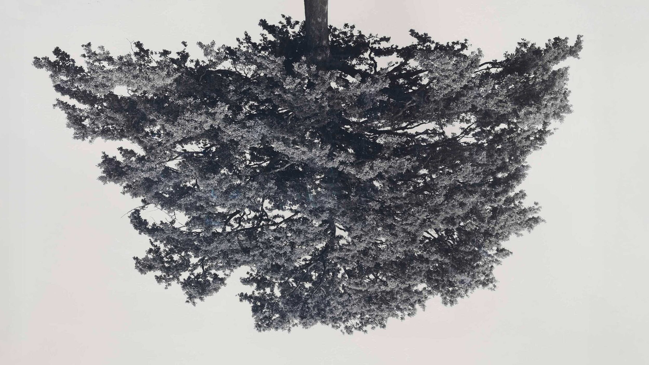 Rodney Graham Remembered