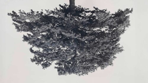 Rodney Graham Remembered