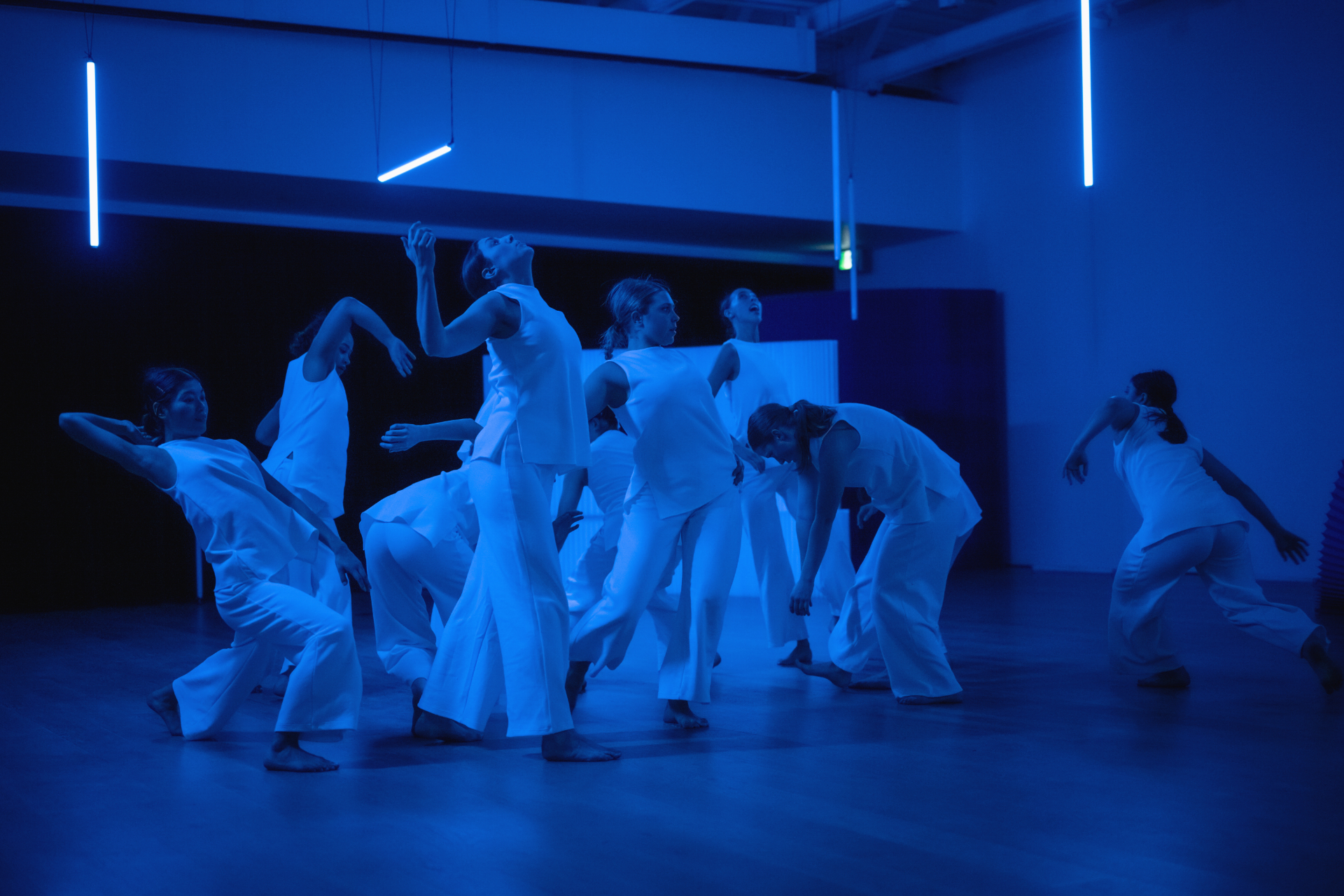 Dance//Novella Live Performance