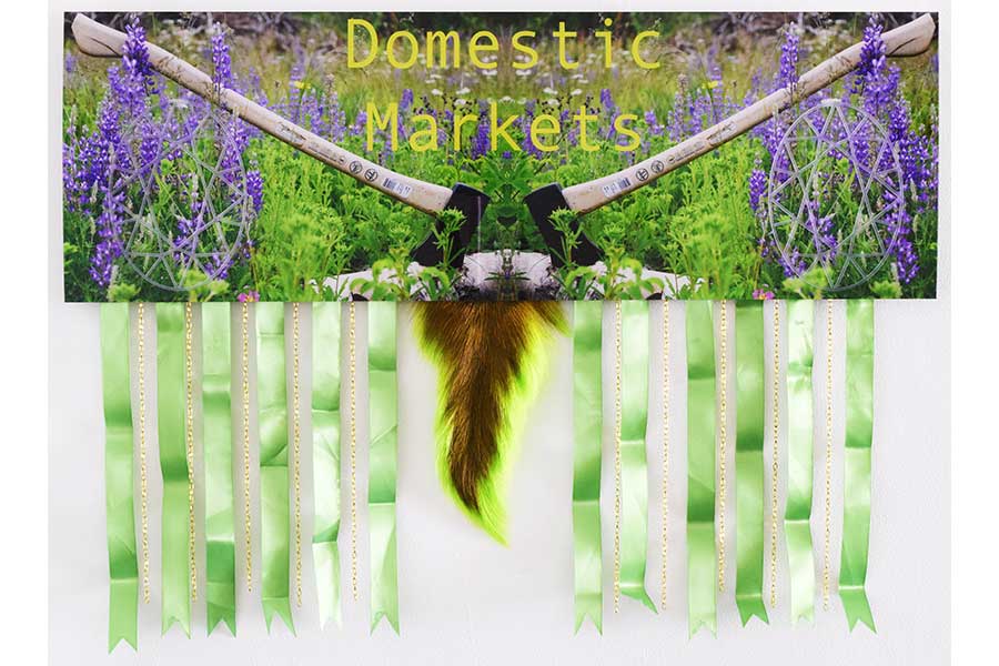 Tania Willard - Domestic Markets