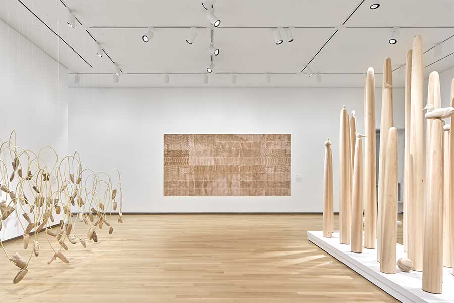 Tania Willard - Vestige - install view