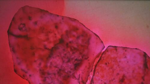 Tania Willard: Photolithics Public Celebration